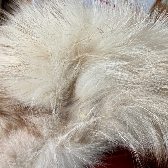 - Astrakin, France Gray Persian Lamb Swing Coat  M-L - Picture 12 of 16